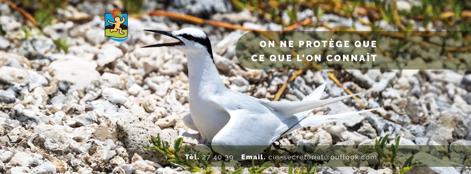 Centre d'initiation à l'environnement de NOUVELLE-CALEDONIE
